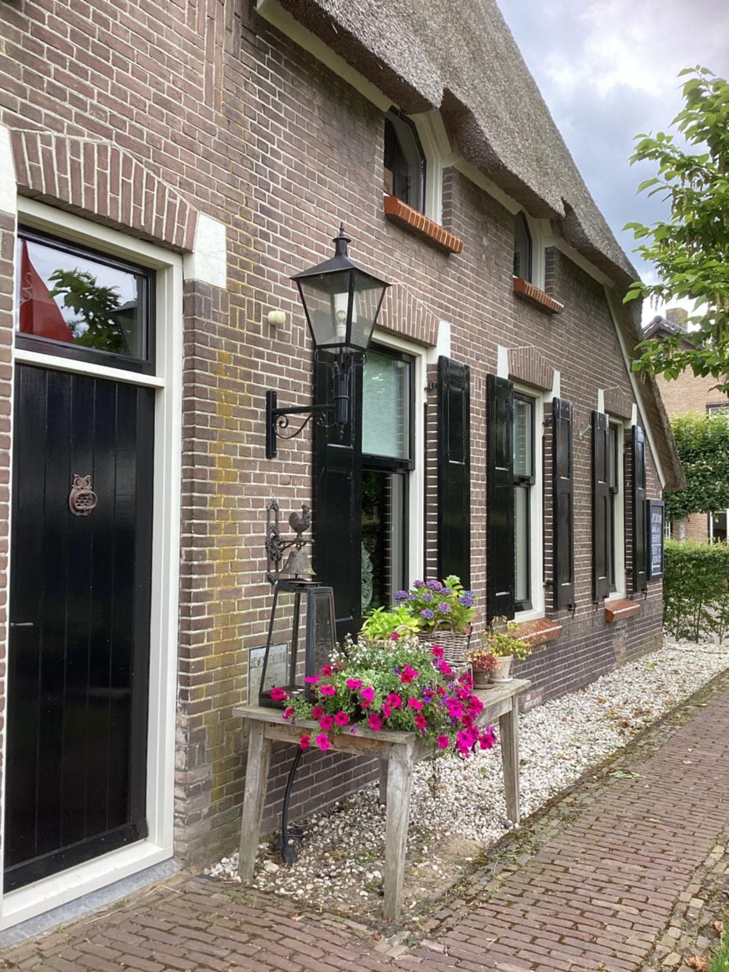 B&B De Meidoornhof Ruinen Kültér fotó